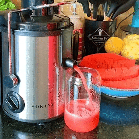 EXTRACTOR DE JUGO SOKANY