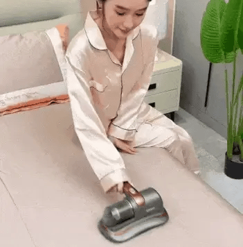 ASPIRADORA DE ACAROS MORADA