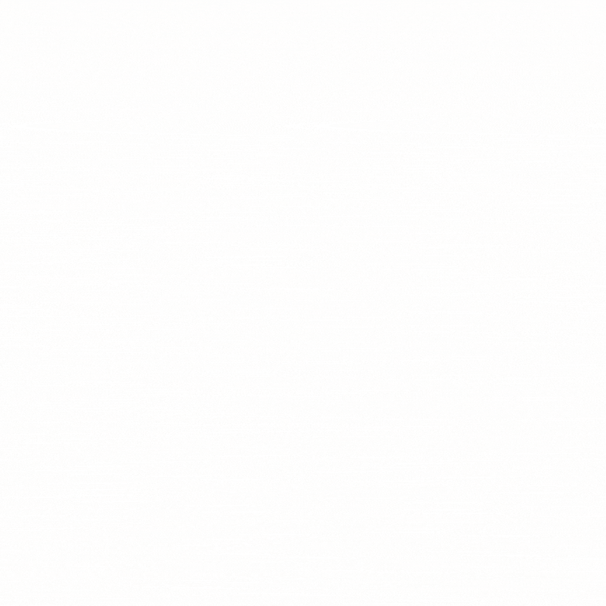 LICUADORA ELECTRICA RAF